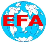 Native English EFL Teacher